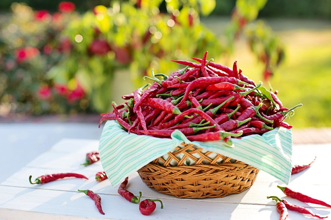 🌶️ Utjecaj ljute hrane na ljudsko tijelo